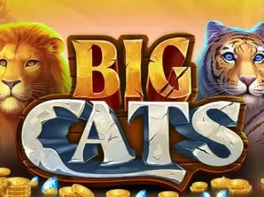 Velobet Casino screenshot